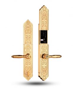 Khóa đại sảnh biệt thự  EL8862 Gold