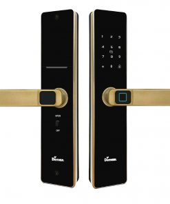 Khóa điện tử, vân tay thông minh DEMAX SL-C320 CG
